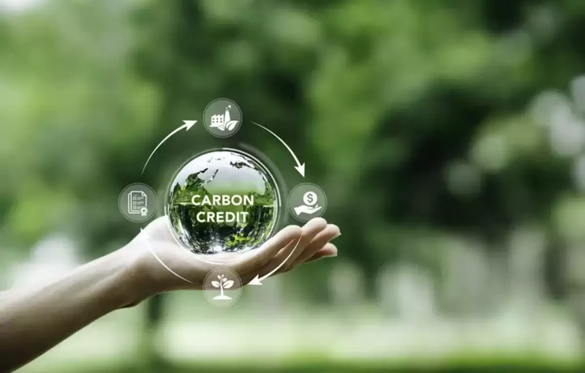 Corporate Carbon Offset Strategies Are Shaping Sustainable Sports Events